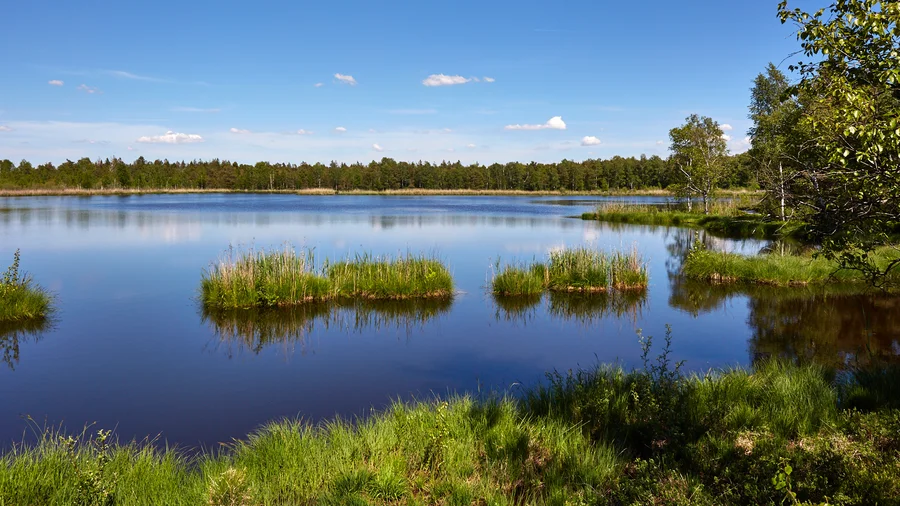 Moorsee am Wurzacher Ried
