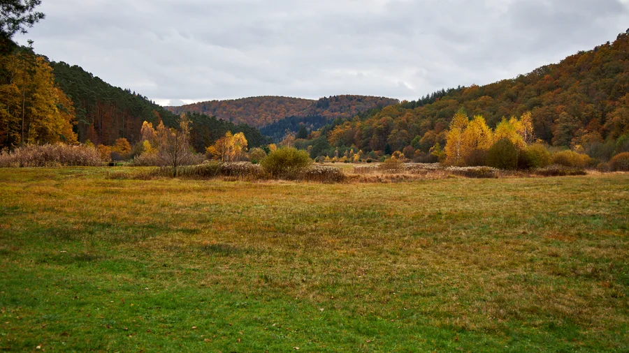 Fischbach