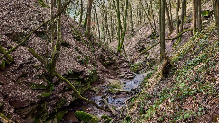 Margarethenschlucht