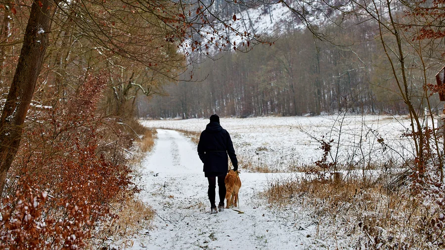 Bummelkuppenweg - Nationalpark Hainich