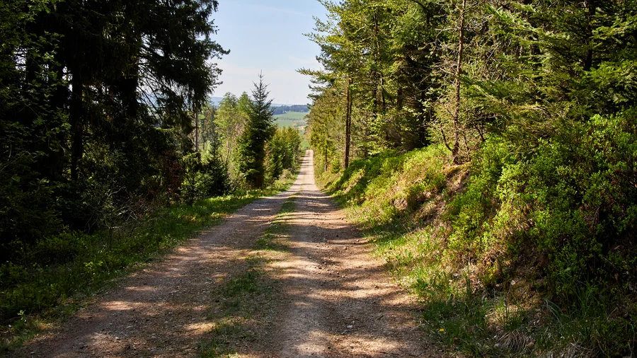 EifelSchleife Naturwanderpfad