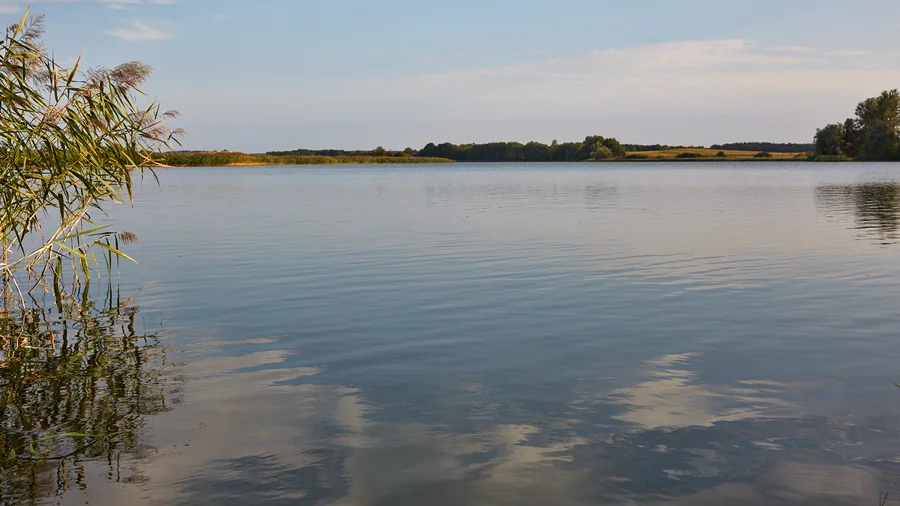 Blick vom Strand auf den Rödliner See