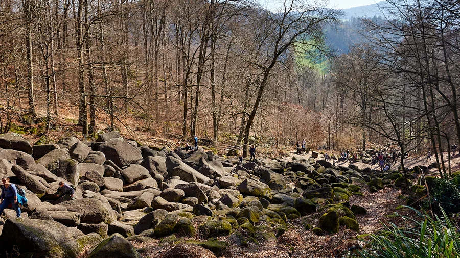 Felsenmeer Odenwald
