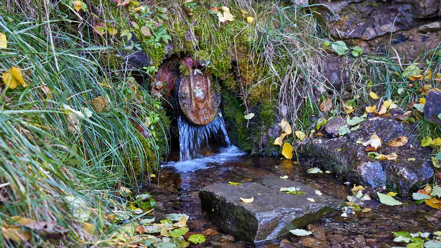 Wespelquelle