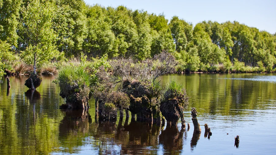 Am Ewigen Meer