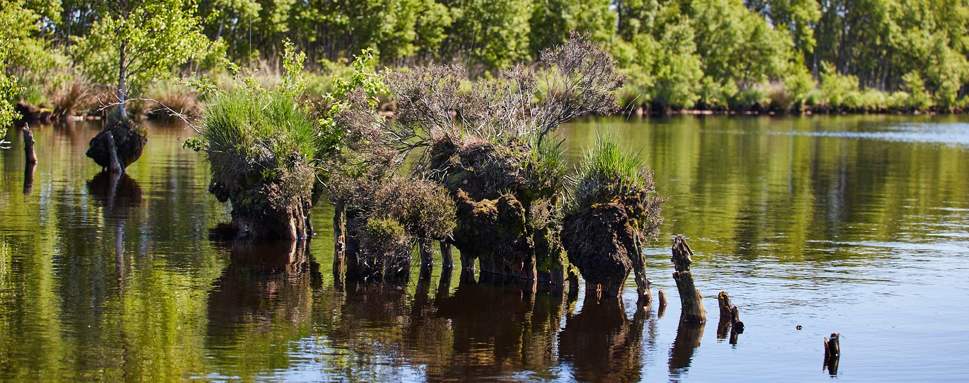 Ewiges Meer - der größte Hochmoorsee Deutschlands | deutschland-outdoor.de