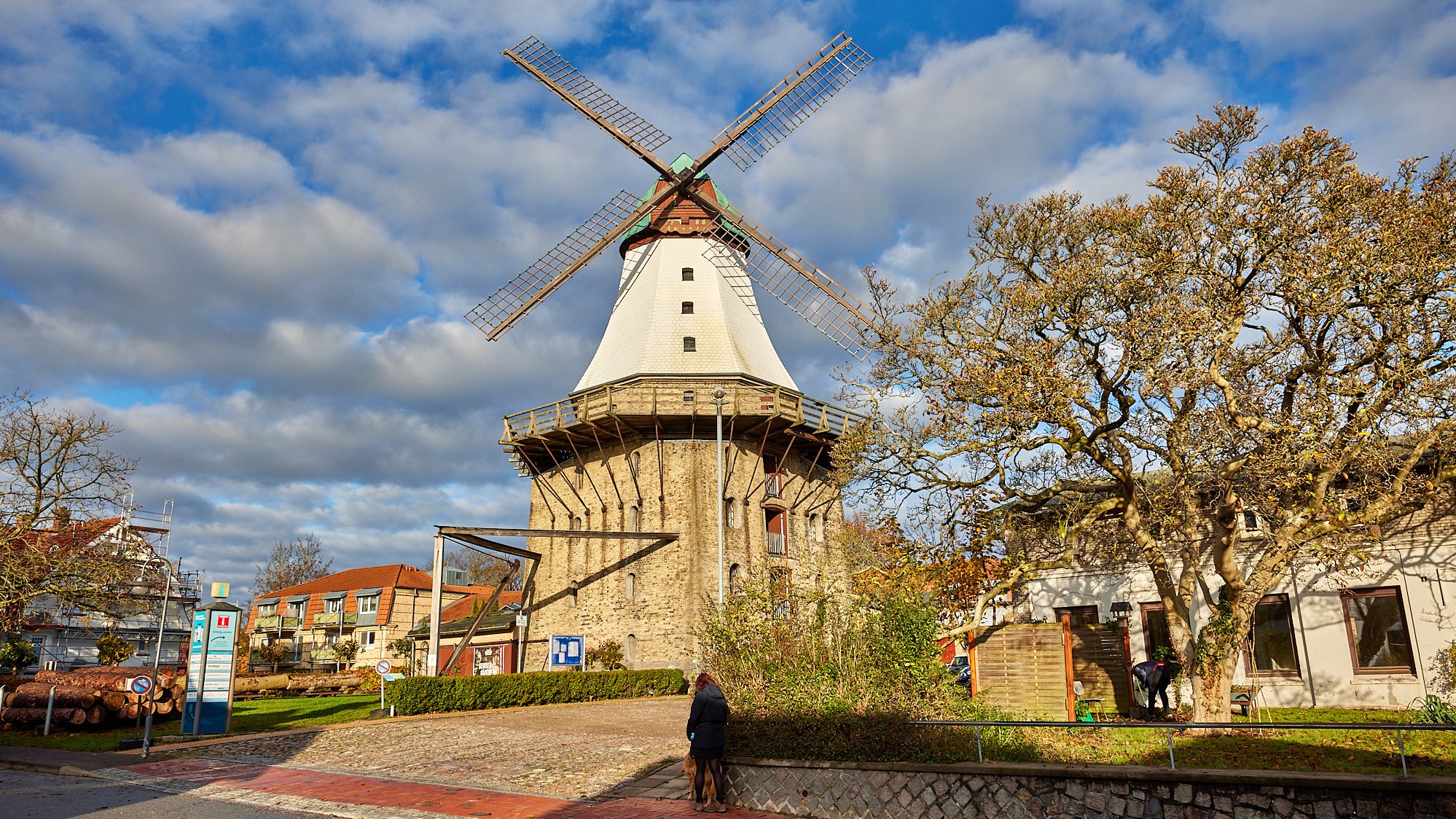 Windmühle Kappeln Schlei