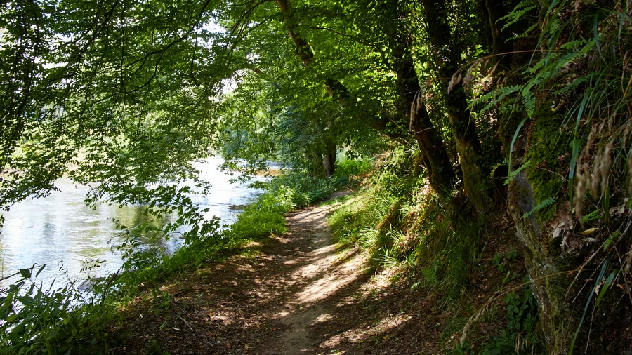 Wiedtal