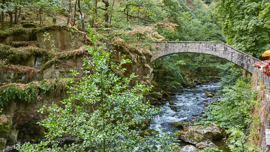 Rundwanderweg durch das Bodetal
