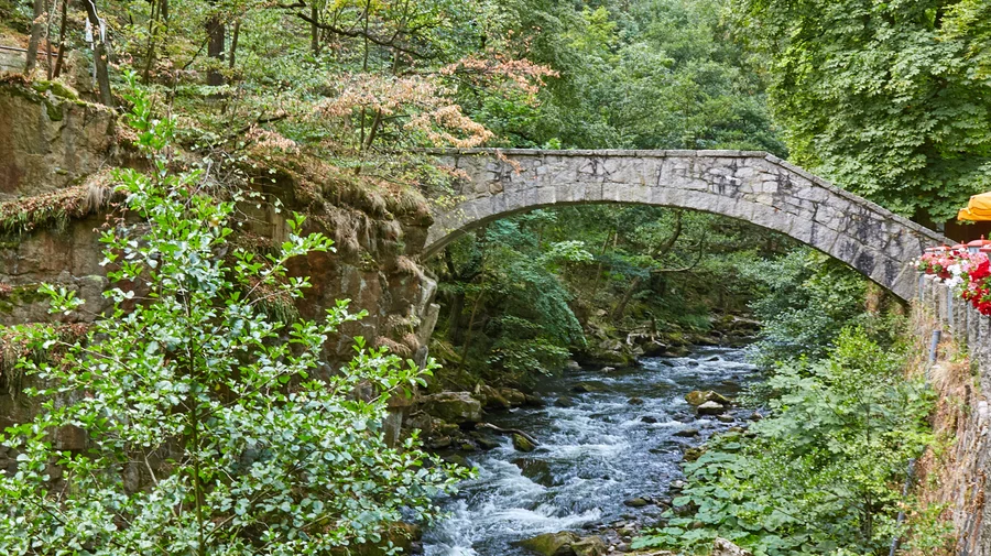 Bodetal - zwischen Thale und Treseburg