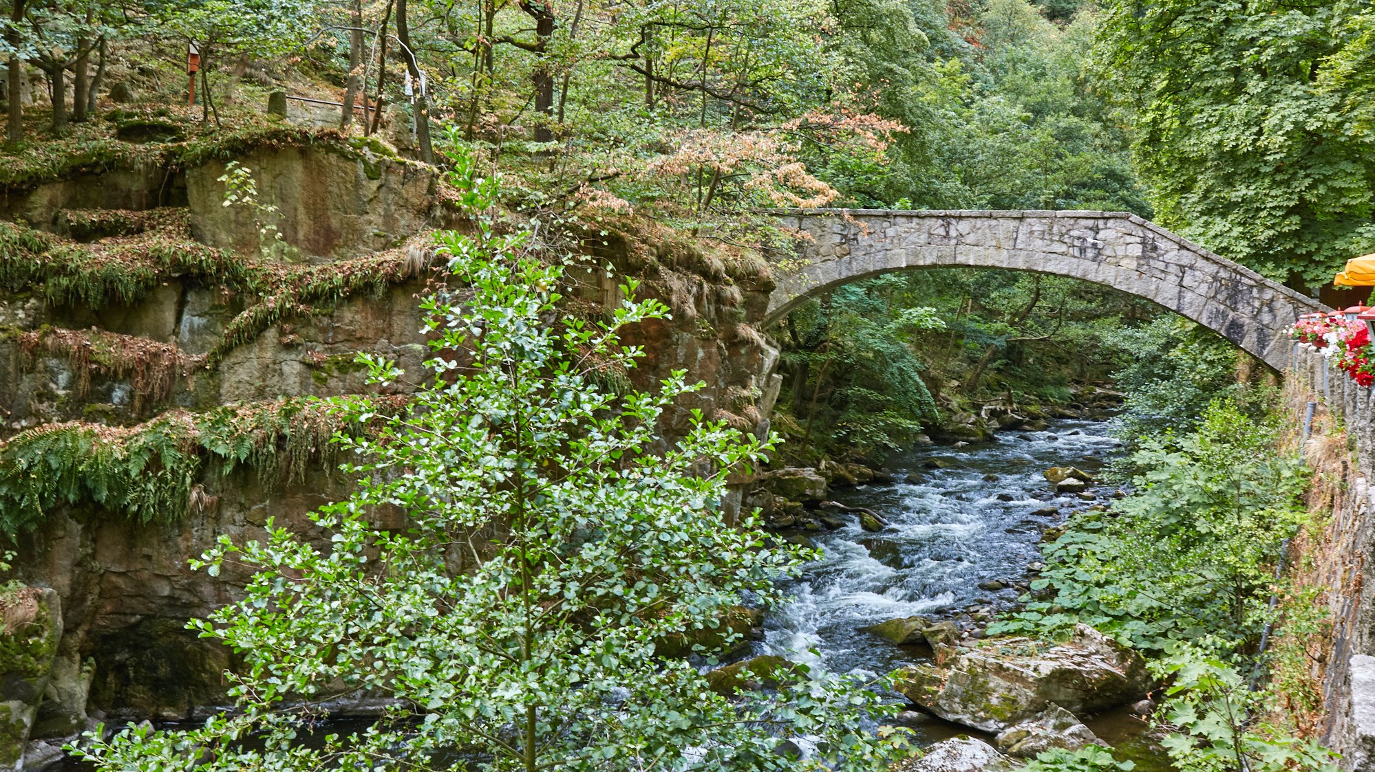 Rundwanderweg durch das Bodetal
