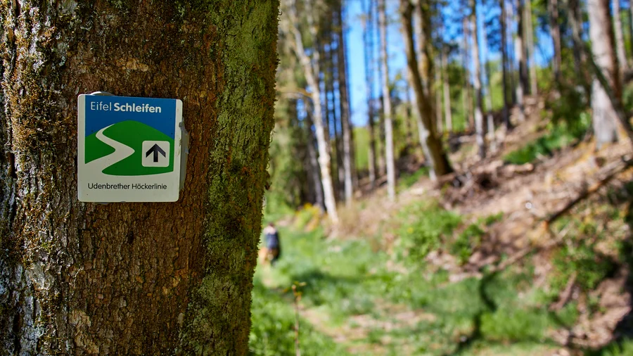 EifelSchleife Udenbrether Höckerlinie