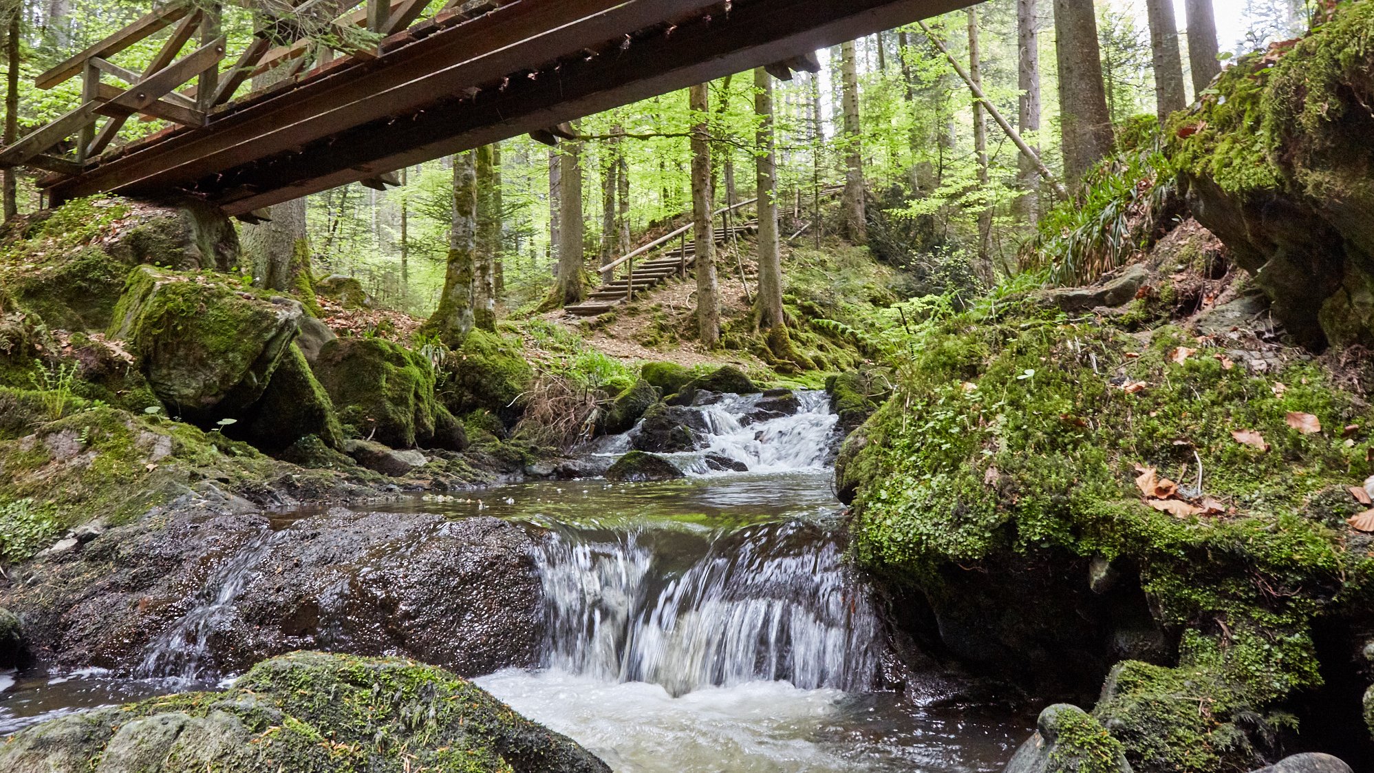 Ravennaschlucht