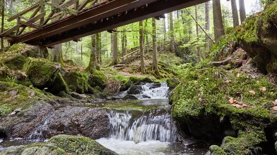 Ravennaschlucht
