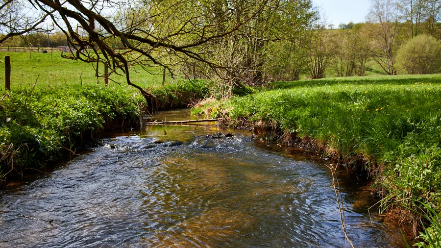 EifelSchleife Naturwanderpfad