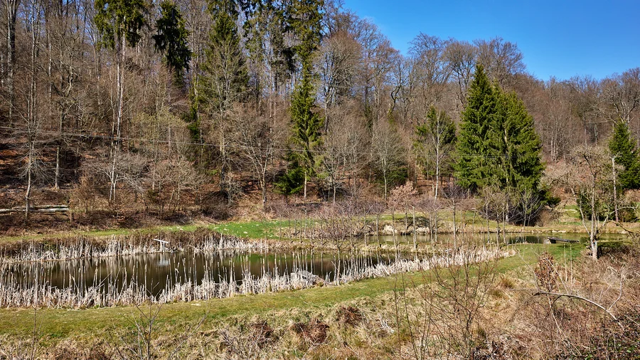 Wisper Trail Naurother Grubengold