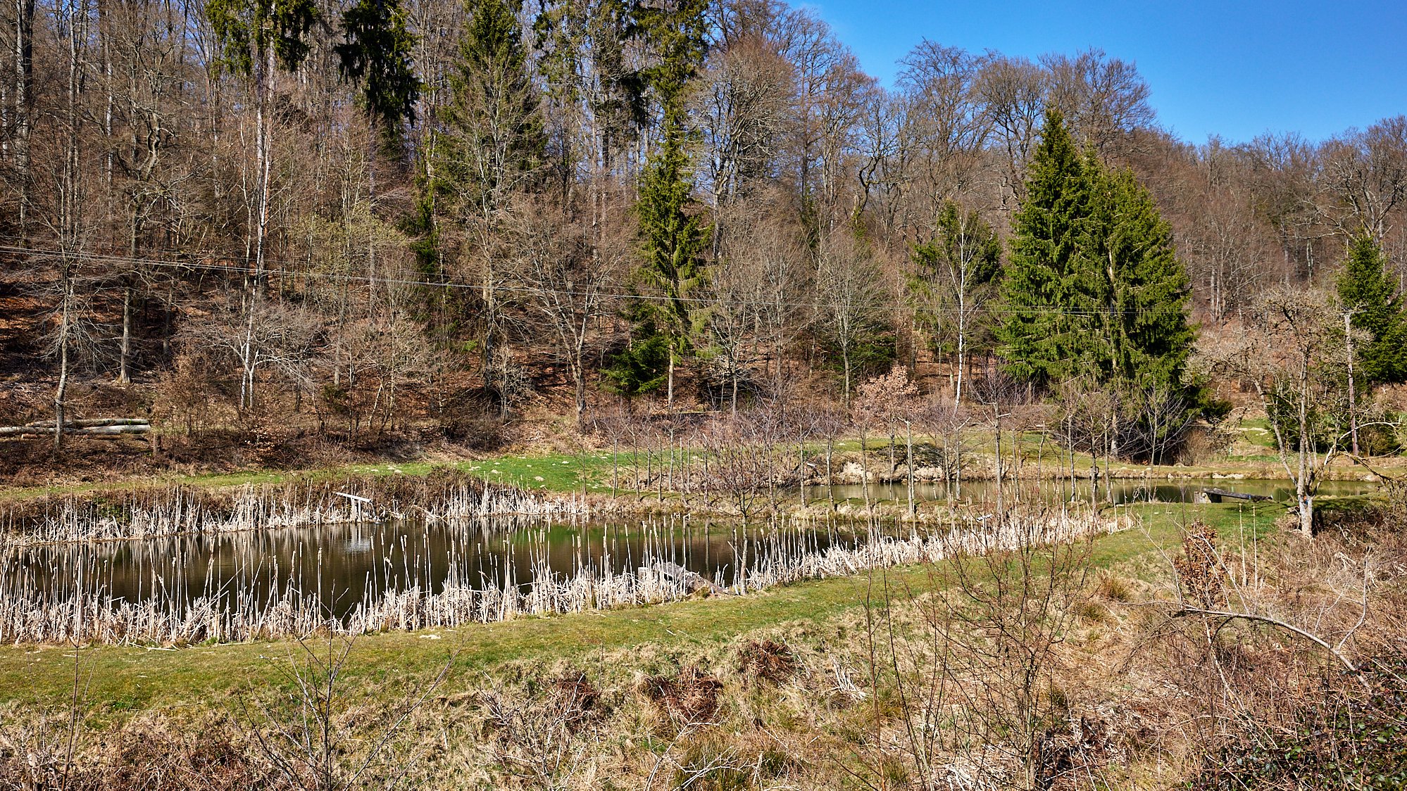 Wisper Trails