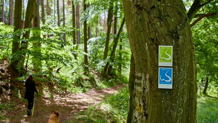 Wisper Trails
