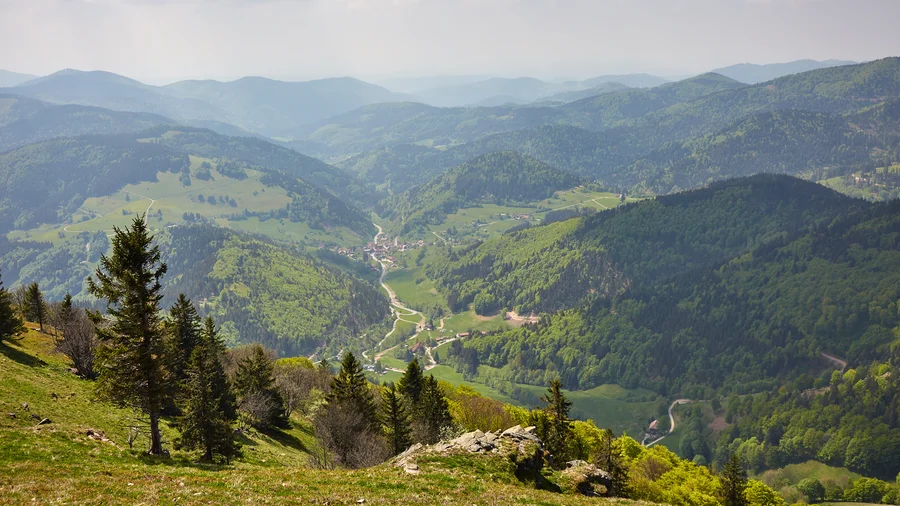 Blick vom Belchen auf den Schwarzwald