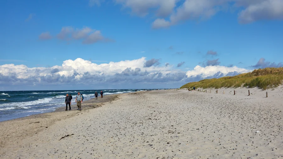 Darß-Zingst