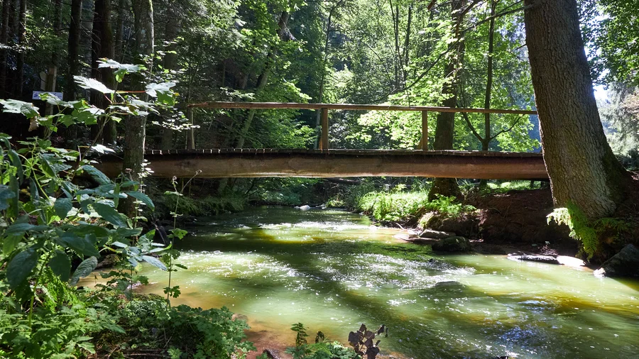 Höllenbachtal