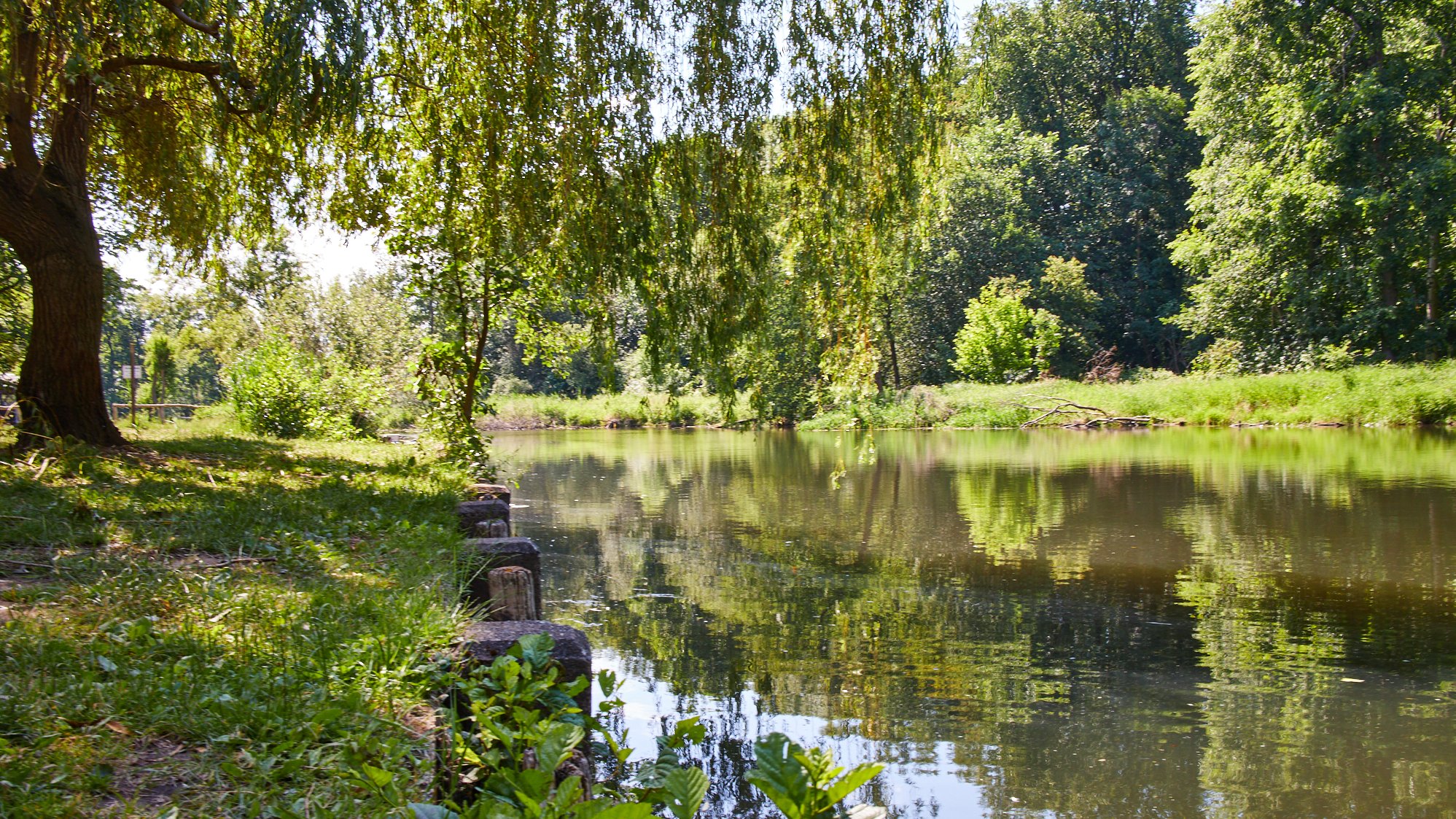 Lübben