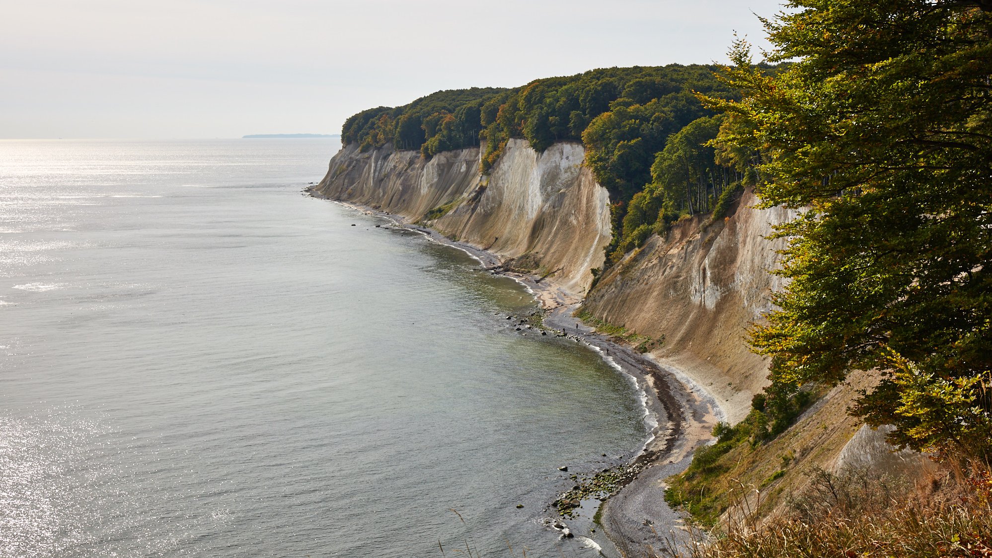 Jasmund