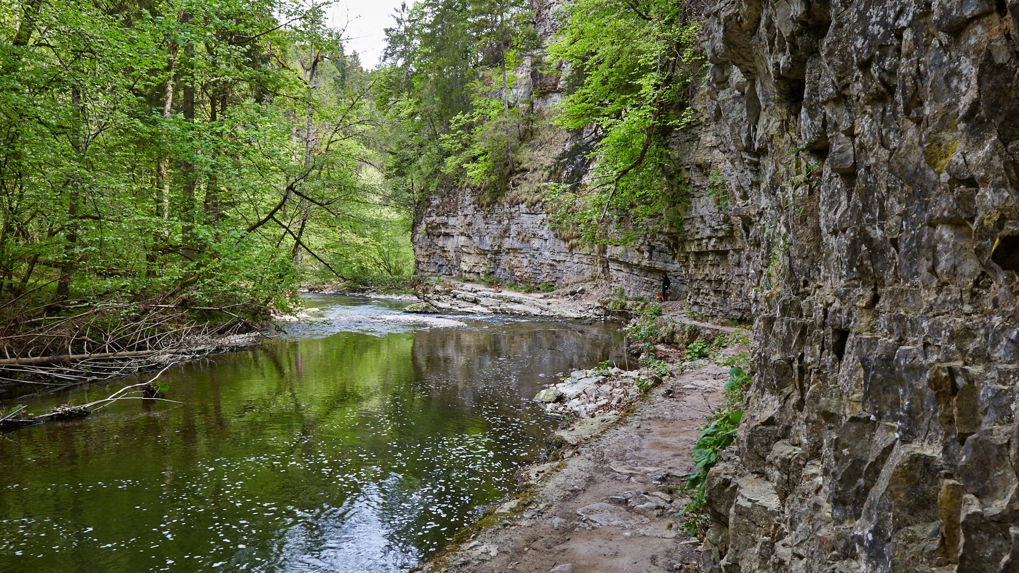 Wutachschlucht