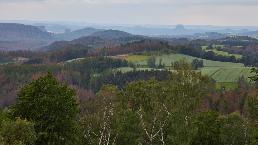 Kirnitzschtal