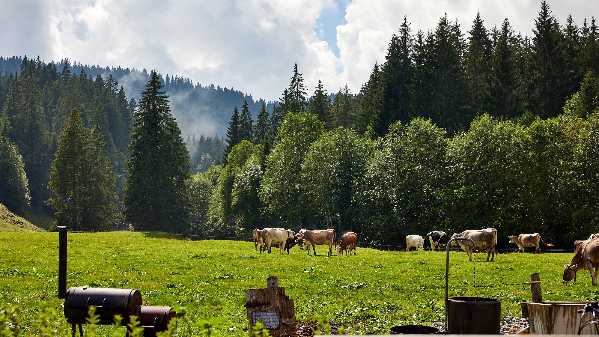 Balderschwang