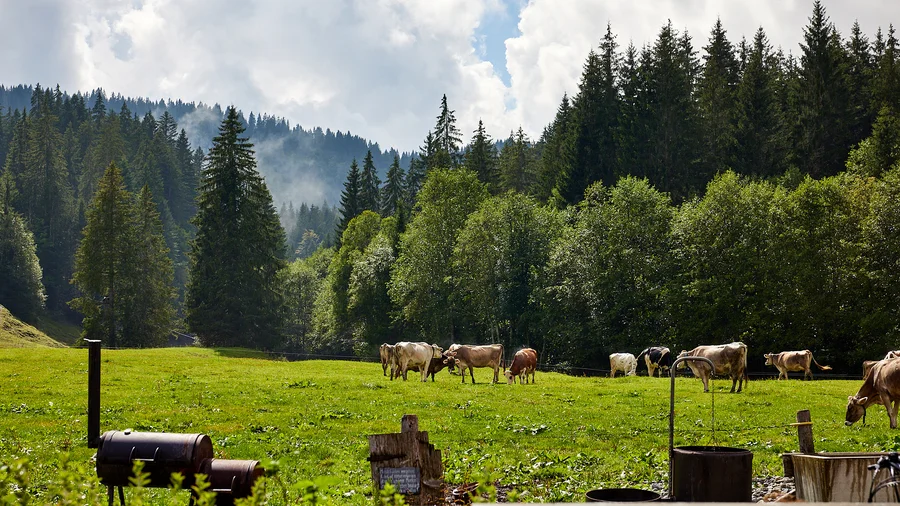 Balderschwang