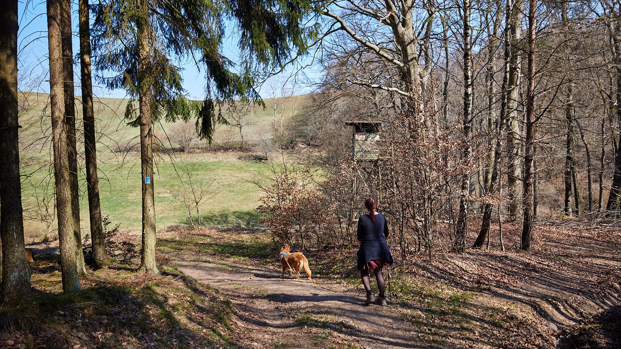 Wisper Trails