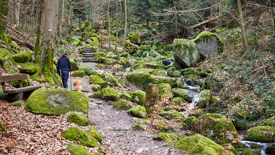 Alde Gott Panoramaweg