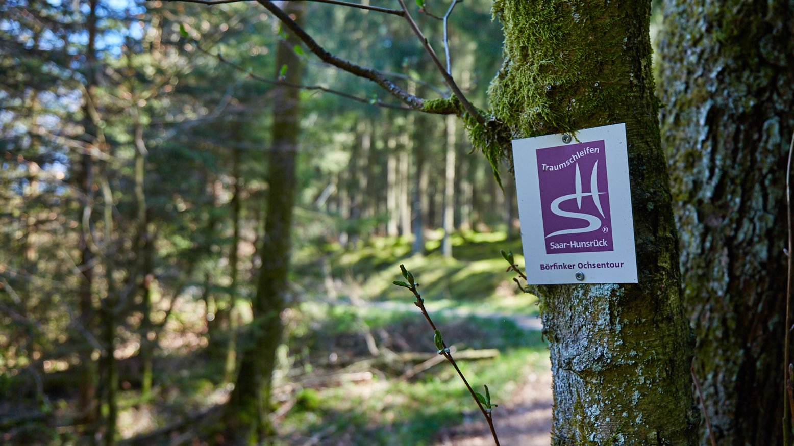 Börfinker Ochsentour