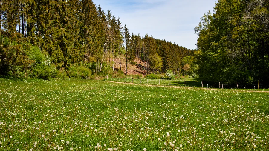 EifelSpuren Heideheimat