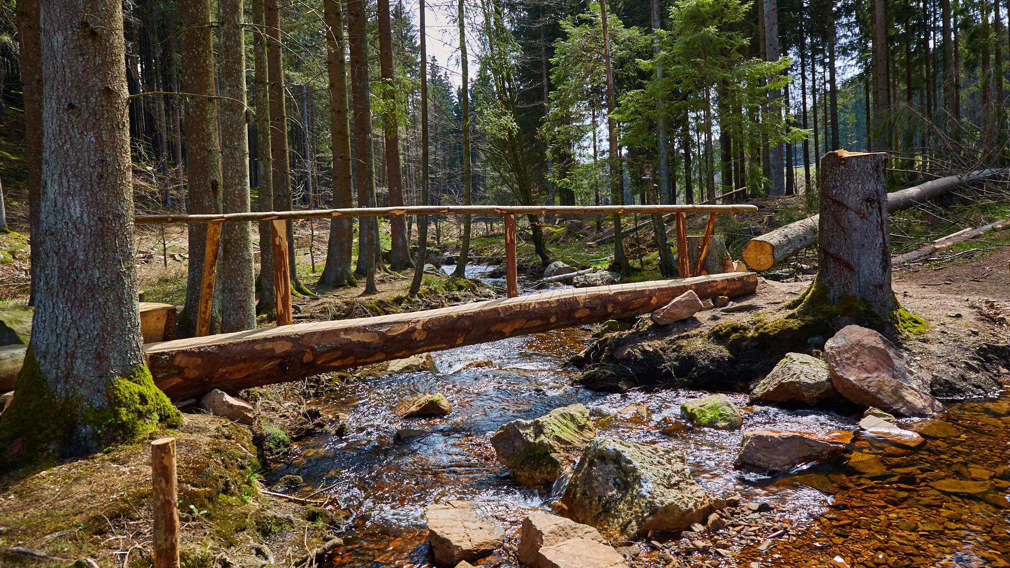Nationalpark Hunsrück-Hochwald