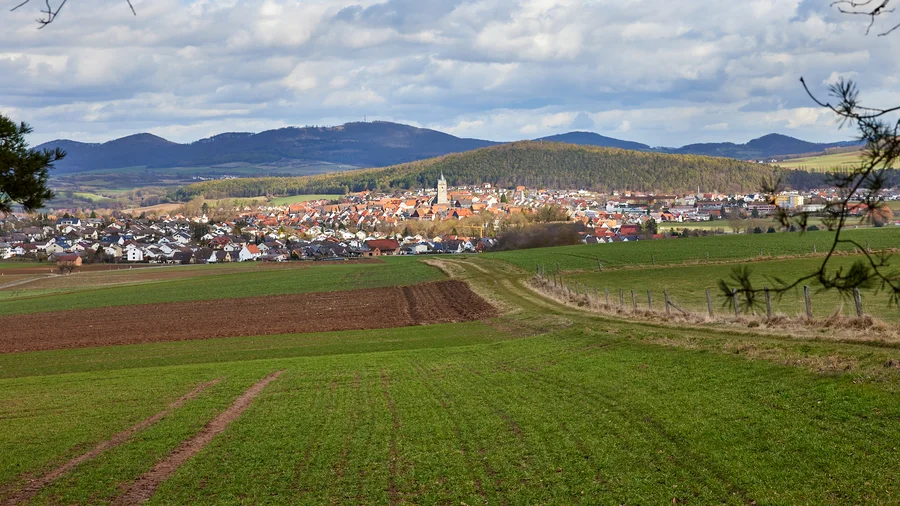 Habichtswald